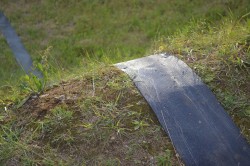 Straight Line (detail)